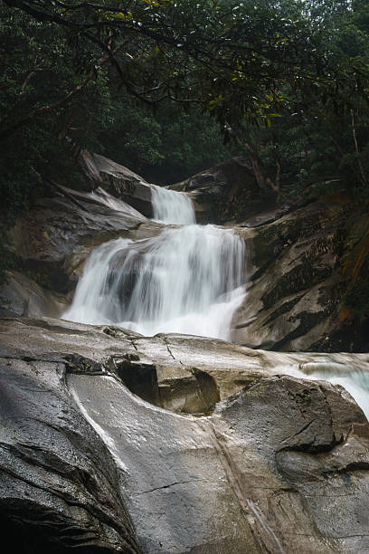 istock Forest waterfall flowing over smooth rocks in nature 2251683272