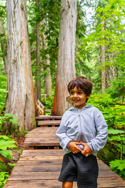 istock Young boy exploring giant cedars boardwalk trail in mount revelstoke national park 2251683419