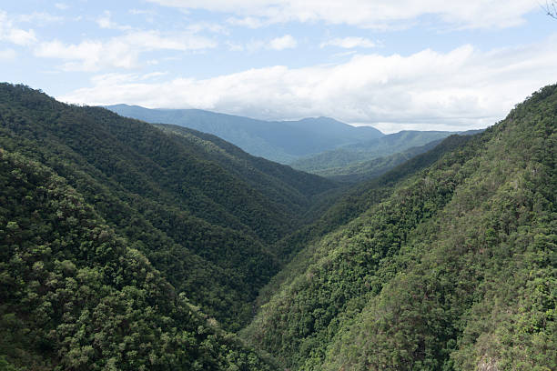 istock Lush green jungle mountains forming wide valley 2251683789