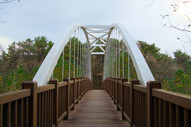 A bridge connecting mountains and mountains that we met by chance