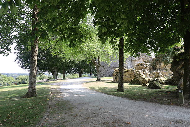 istock Domfront en Poiraie - Creative gardens 2251700200