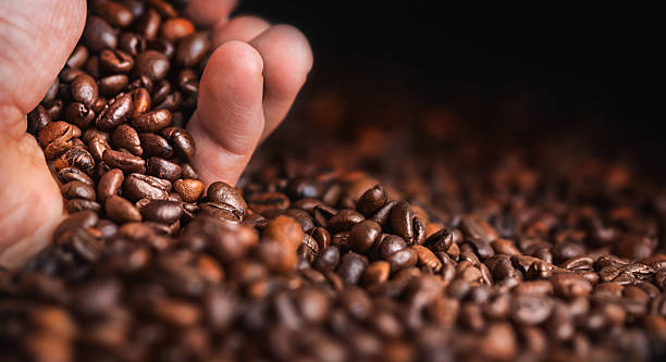 istock Hand holding roasted coffee beans closeup macro 2251706516