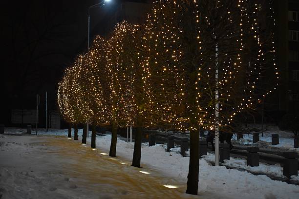 istock Lights on the trees in the park at night in winter 2251709320