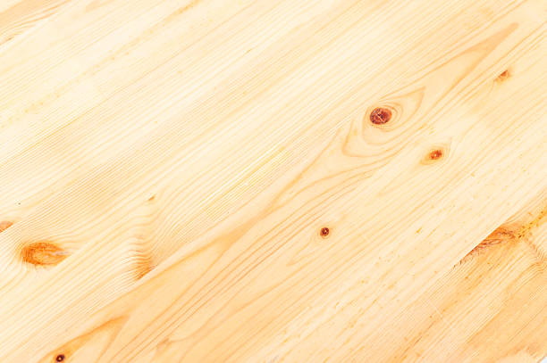 Explore intricate details of a wooden surface in a serene natural setting.