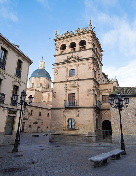 istock Salamanca - Palacio de Monterrey 2251722626