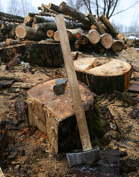 Photo of a young man using an axe to cut wood.