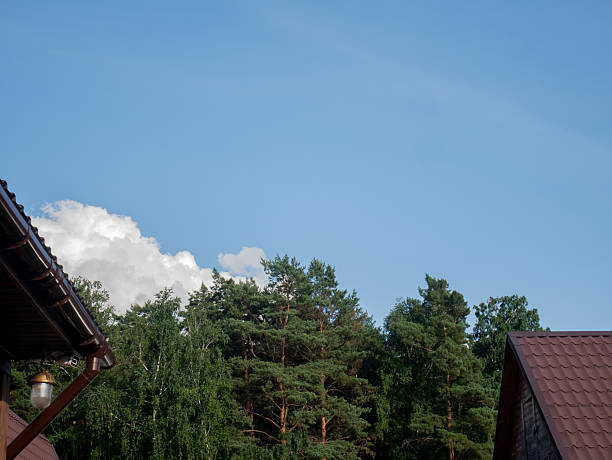Blue sky over pine forest with cabin roofs