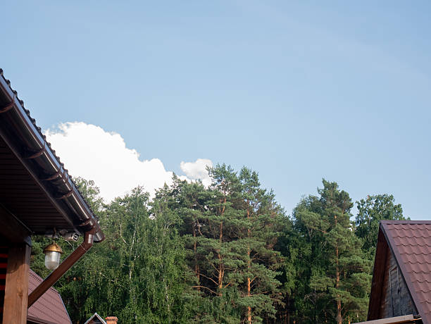 Blue sky over pine forest with cabin roofs
