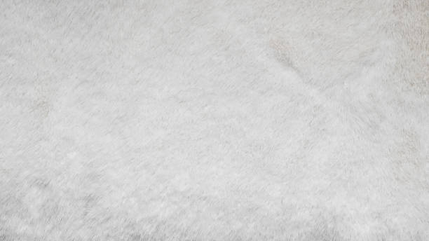 istock Soft white fur background texture symbolizing winter luxury and warmth. 2251732549