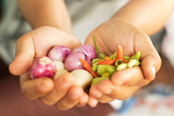 Hands Holding Bowl of Spices and Vegetables