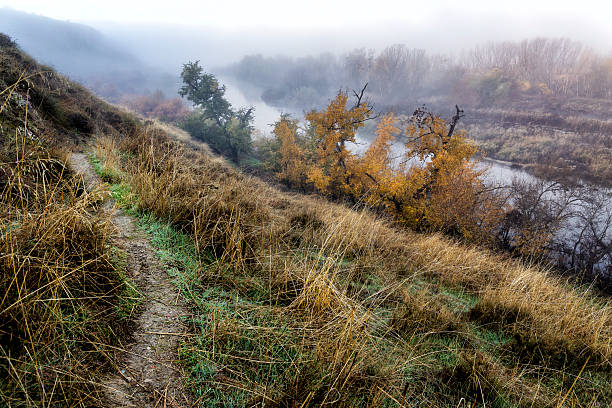 Niebla en el rio Jarama a finales del otoño. Titulcia. Maddrid.
