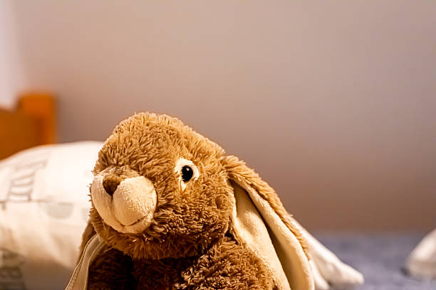 istock Close-up of soft brown plush bunny toy 2251745135