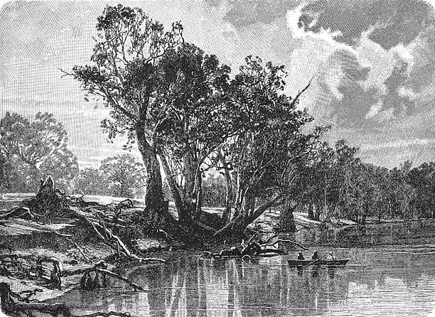 istock The Murray River with paddle steamers and riverbank vegetation above Echuca settlement, showing Australian inland waterway transportation and river ecology characteristics, old vintage illustration, 1899 2251751002