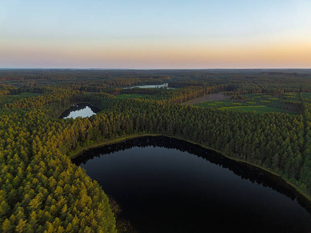 istock A beautiful landscape with a lake in the middle surrounded by forest 2251751902