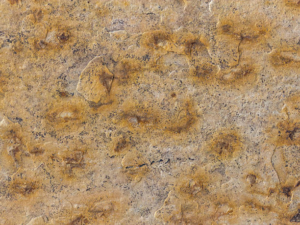 Rough brown sandstone wall showing natural texture and geological patterns