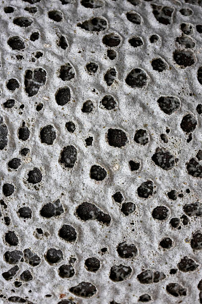 Volcanic rock wall