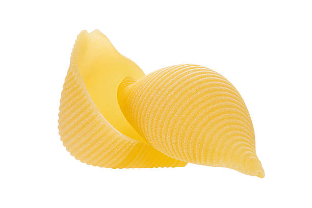 istock Wheat uncooked pasta conchiglie on white isolated background 2251771893