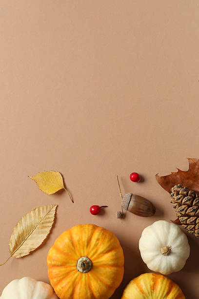 istock Beautiful autumn composition with pumpkins on a color background, top view 2251772836