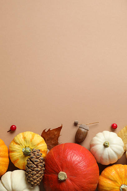 istock Beautiful autumn composition with pumpkins on a color background, top view 2251772838