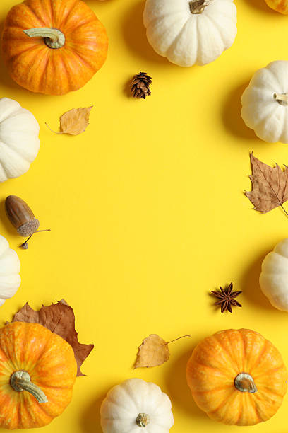 istock Beautiful autumn composition with pumpkins on a color background, top view 2251772924
