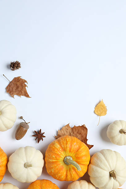 istock Beautiful autumn composition with pumpkins on a white background, top view 2251772933