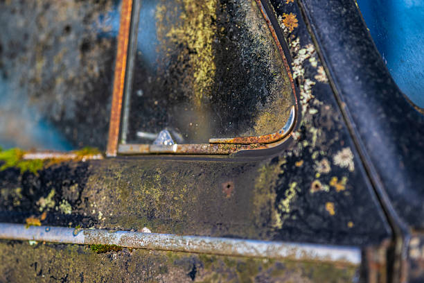 istock Weathered vintage car window with rust and lichen textures. 2251774988