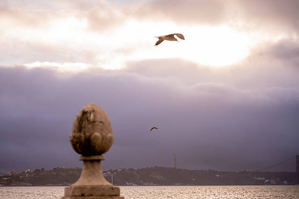 Lisbon Portugal December 05 2025. A seagull flies near a stone ornament by the Tagus River during winter sunset light as another bird stands on top.