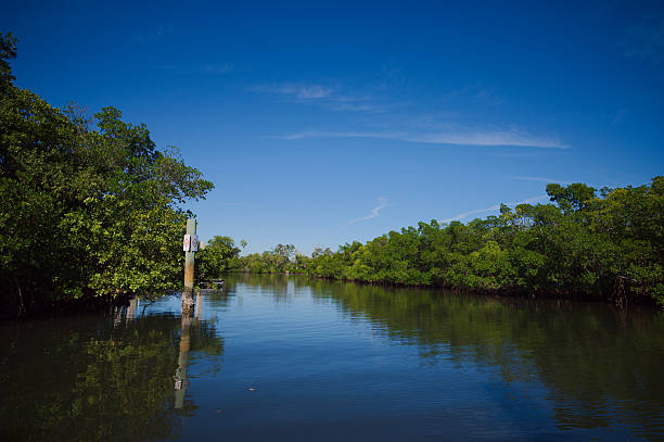istock Serene River Scene With Trees, Reflections on Calm Water Under Blue Sky During Sunny Day in Nature. Grandview Park in St. Petersburg, FL. 2251788500
