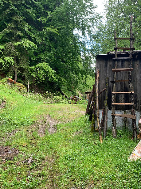 istock The Oldest Working Ladder in Georgia 2251790699