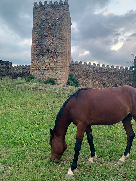 istock Ananuri Fortified Castle Ensemble with Horse, 2023 2251790720