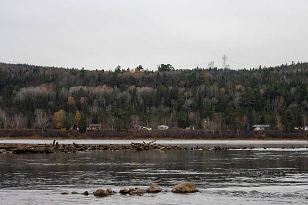 Canada, Quebec, 29 October 2025 : Overcast sky, forest hillside, houses, river, logs, power lines, solitude