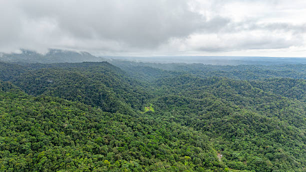 istock Lush Green Mountain Range in Colombia 2251805705