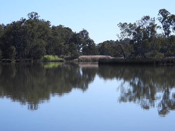 The mighty Murray River, Australia’s longest, is poetically called a “river of islands.” Over its 2,500-kilometre journey, it braids through countless sandy islets, ephemeral mudbanks, and lush, permanent islands cloaked in river red gums. These landforms create a dynamic, ever-changing labyrinth of channels and lagoons. They are vital sanctuaries for birds, fish, and wildlife, forming the lush backbone of the river red gum forests that define this iconic waterway’s character and ecological heart. Above lake Mulwala New South Wales Australia