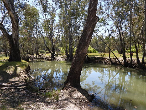 istock Australian Rivers ,Creeks and Gum Tree 2251806496