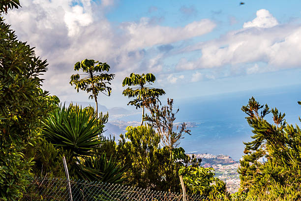 istock Landscape in La Corujera, Tenerife. 2251817096