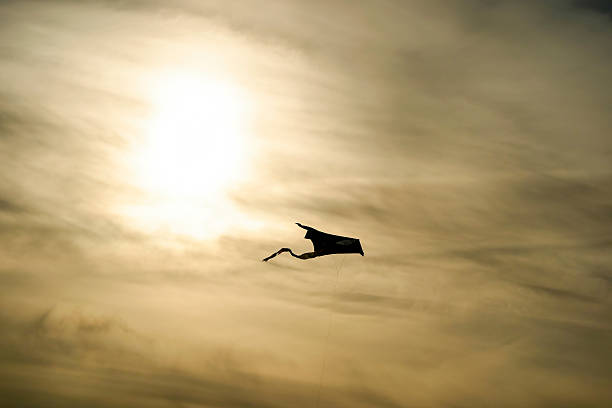 A kite flying in the sky at sunset