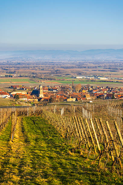 istock Alsace vineyard landscape overlooking Saint Hippolyte village and valley 2251818480