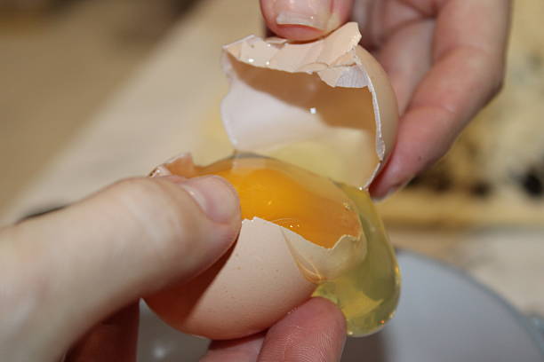 istock Cracking an egg to prepare for cooking in a kitchen during daylight 2251819270