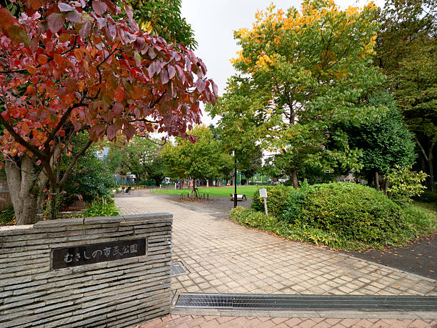istock Musashino Park, Tokyo 2251819482