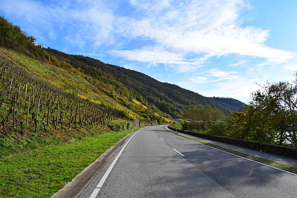 istock main road along steep autumn vineyards 2251819717