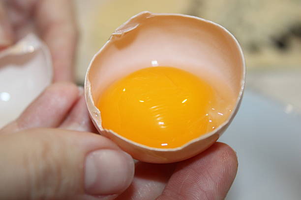 istock Holding a broken eggshell with a bright yellow yolk in the kitchen during meal preparation 2251820751