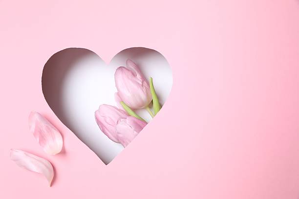 istock Heart with fresh tulips on pastel pink background 2251821980