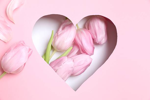 istock Heart with fresh tulips on pastel pink background 2251821981
