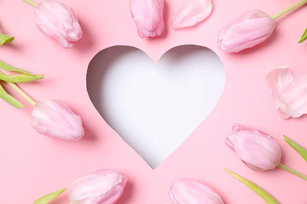 istock Heart surrounded with fresh tulips on pastel pink background 2251822019