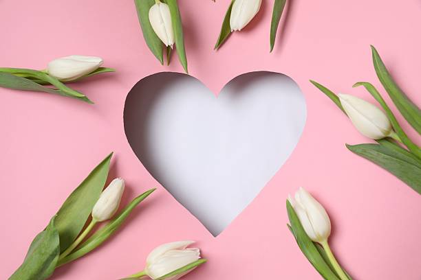 istock Heart surrounded with fresh tulips on pastel pink background 2251822146