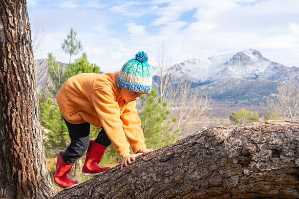 istock Young boy climbing fallen tree trunk in mountain forest 2251825812