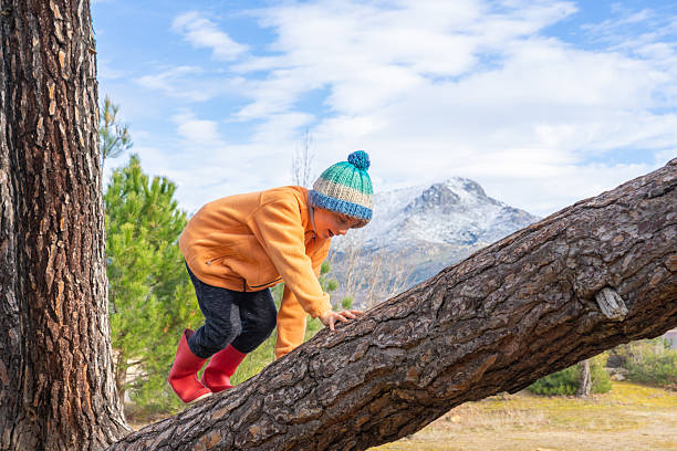 istock Child climbing fallen tree trunk in mountain landscape 2251825817