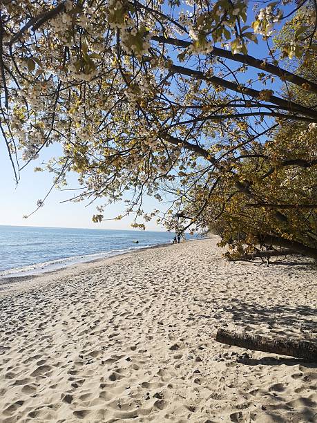 Gdynia, Poland, Pomeranian Voivodeship - 00.00.2000, beach in Redłowo