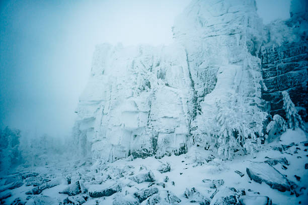 winter landscape with snow-covered taiga, Russia