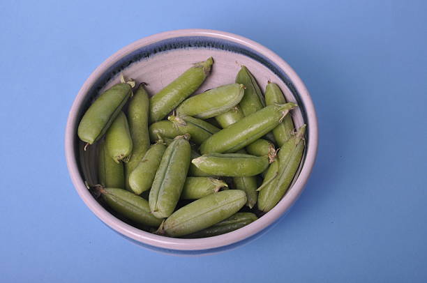 The variety produces large thin and tender pods which are good in salads.